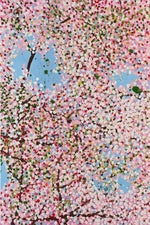 25年05月05日 (月祝) 14:00-17:00 | 日本橋 | ダミアン・ハースト風 | 桜の点描風景画 ("Cherry Blossoms with Damien Hirst Pointillist Painting Style" at Nihon-bashi)