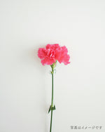 25年05月11日 (日) 17:00-19:00 | 上野・根津 | 抽象画 | 【生花プレゼント付き】アルコールインクアート (Alcohol Ink Art at Ueno/Nezu)
